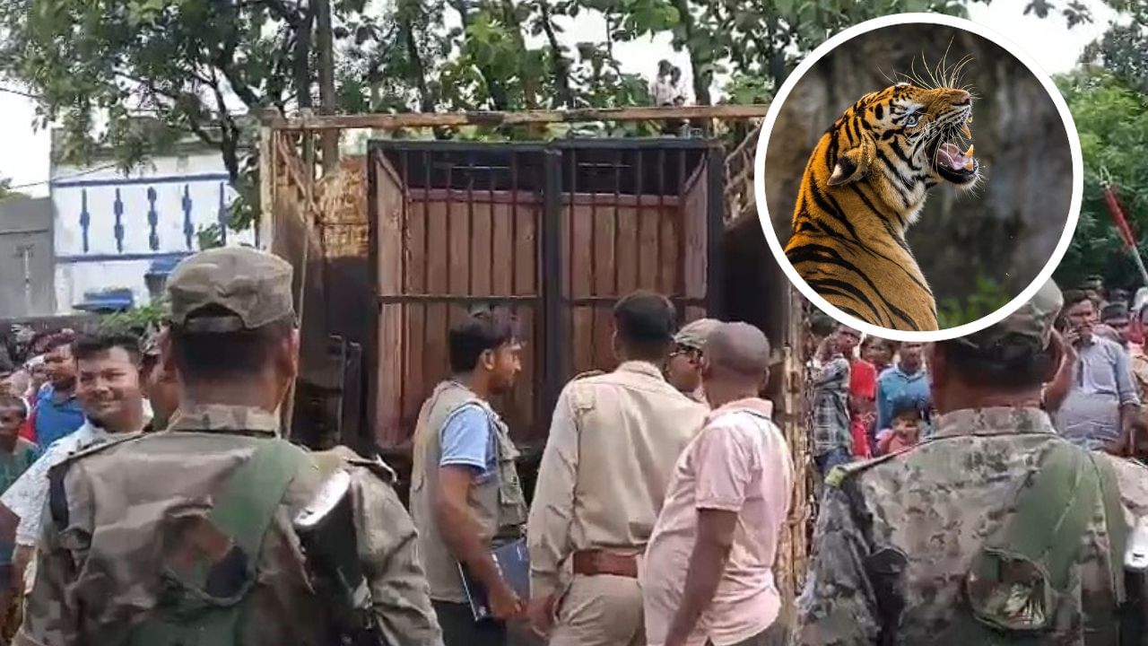 Featured Image Featured Image