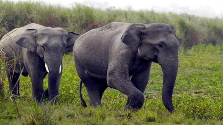 Featured Image Featured Image