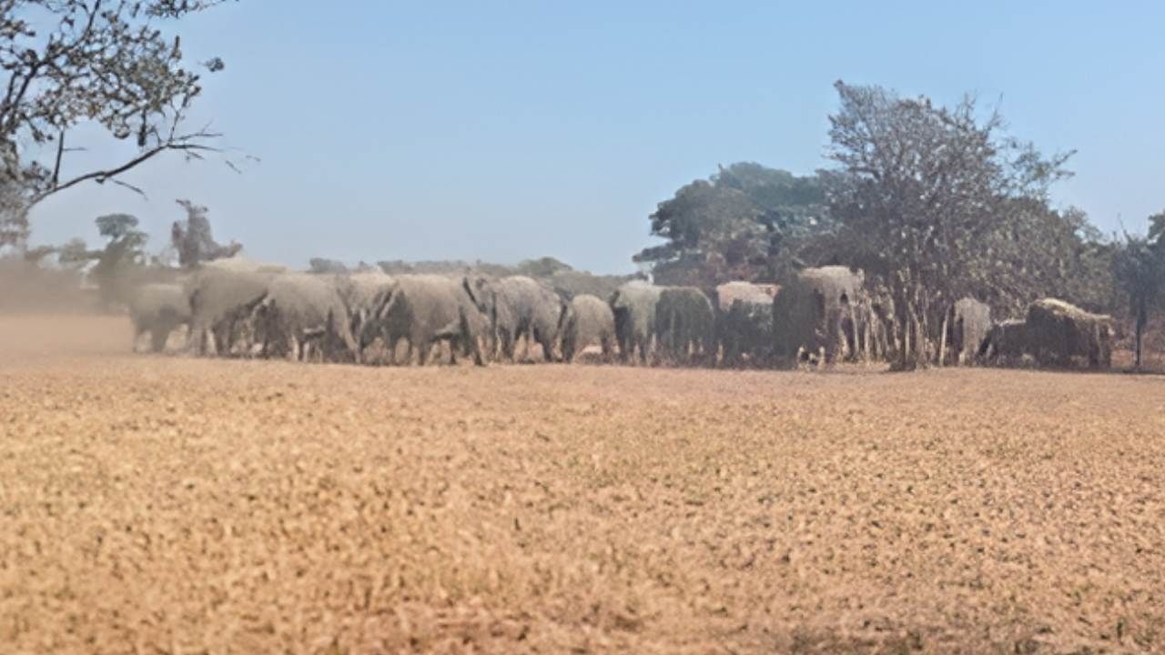 Featured Image Featured Image