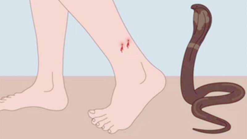 Featured Image Featured Image