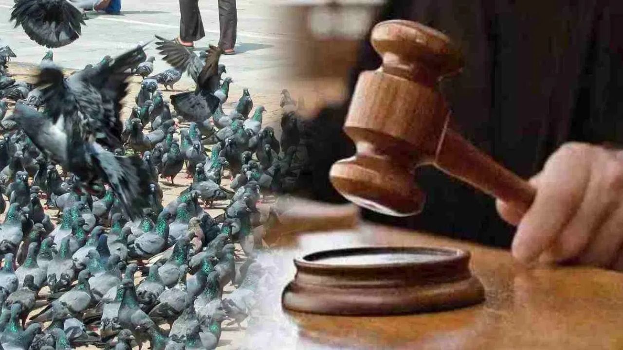 Featured Image Featured Image