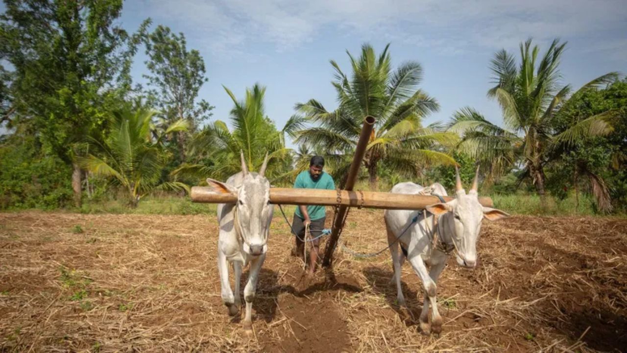 Featured Image Featured Image