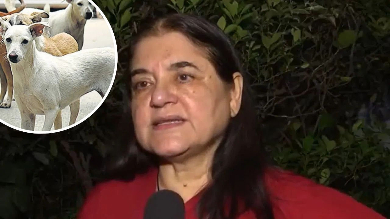 Featured Image Featured Image