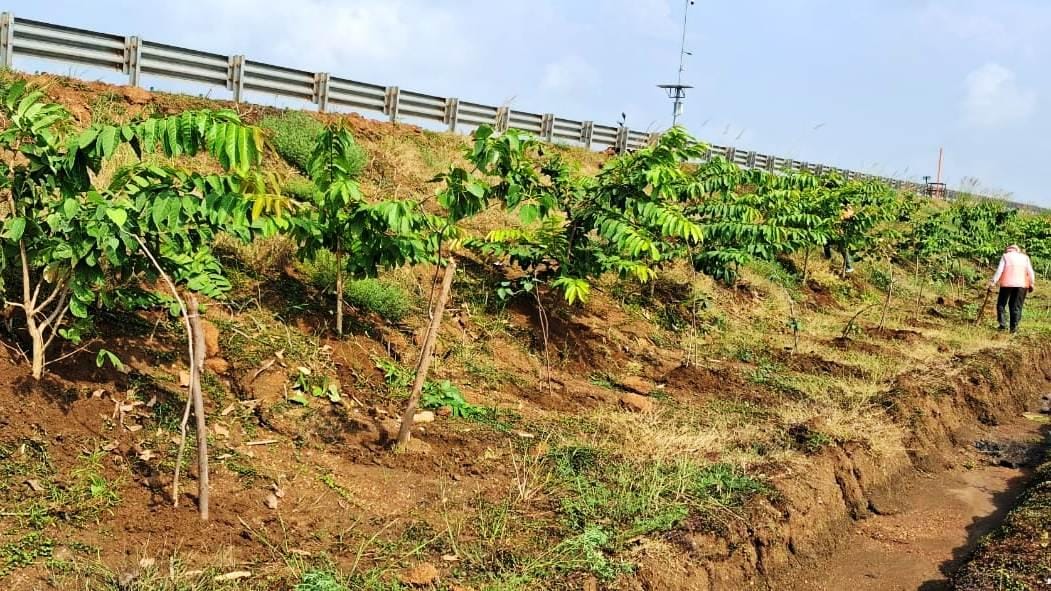 Featured Image Featured Image