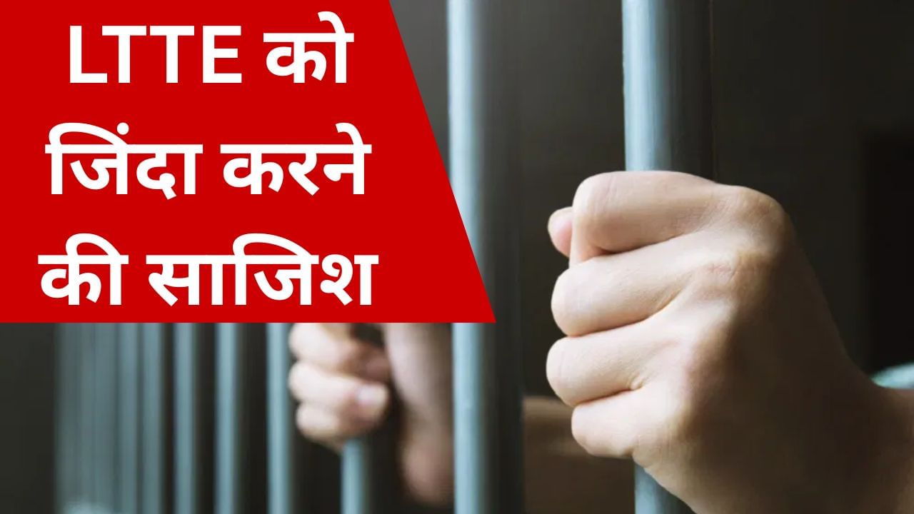 Featured Image Featured Image