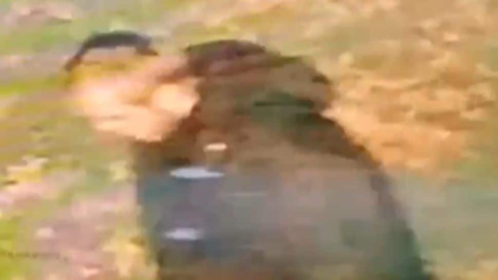 Sorry! Image not available at this time