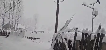 Sorry! Image not available at this time